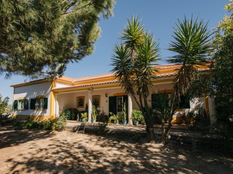 Farm i Coruche, Santarem - foto 1