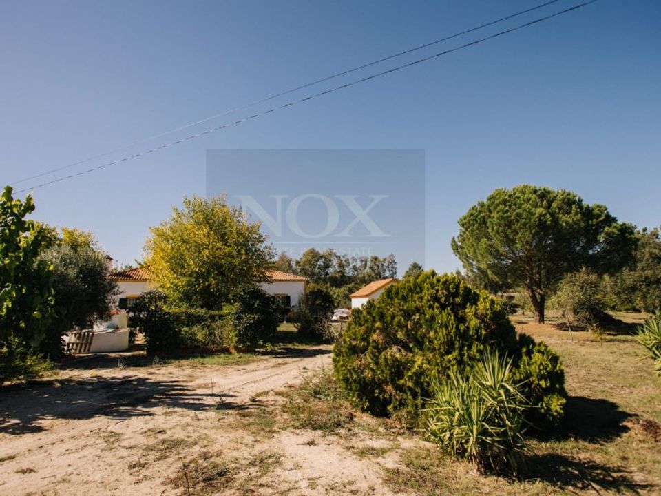 Farm i Coruche, Santarem - foto 5