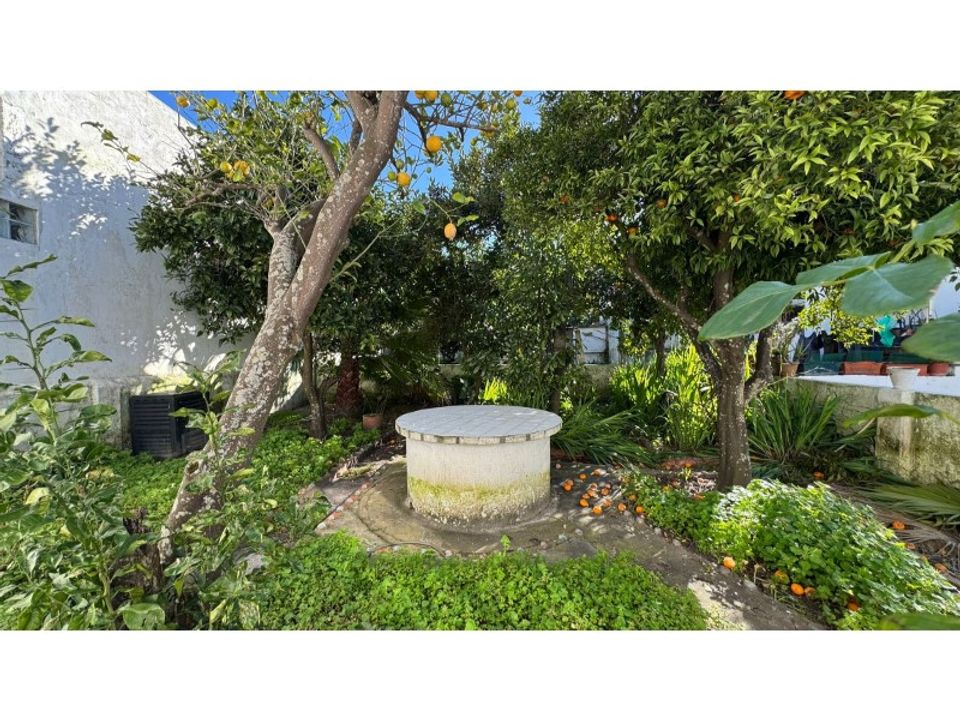 Bungalow i Pinhal Novo, Setubal - foto 3