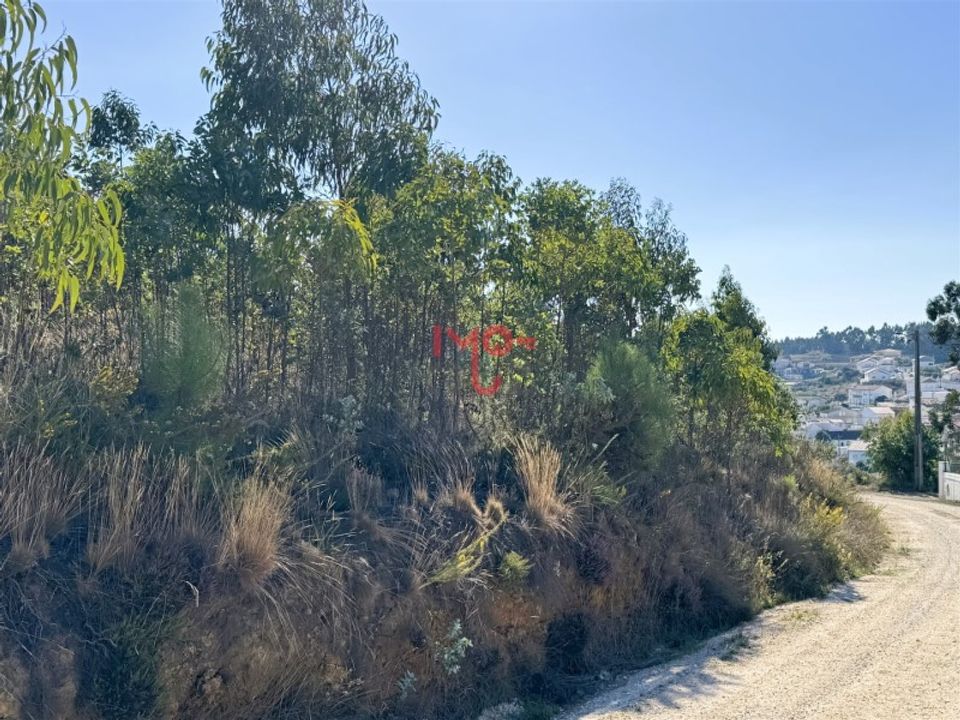 Helårsgrund i Matacaes, Lisbon - foto 1