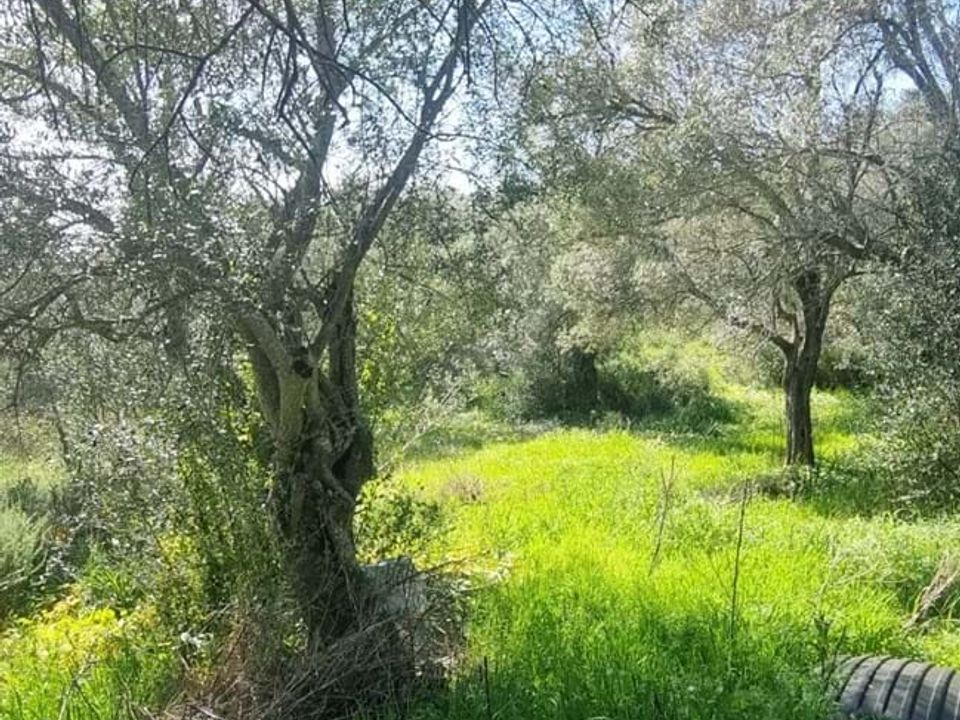 Villa i Silves, Faro - foto 5