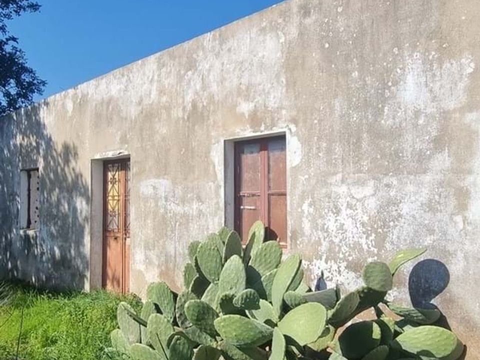 Villa i Silves, Faro - foto 2