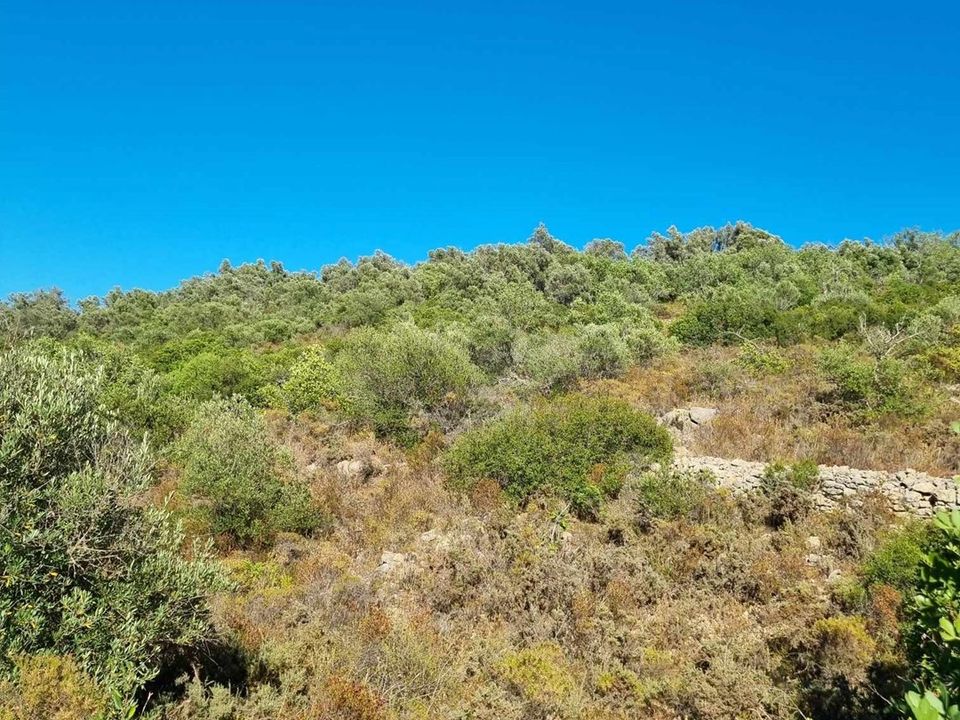 Helårsgrund i Silves, Faro - foto 2