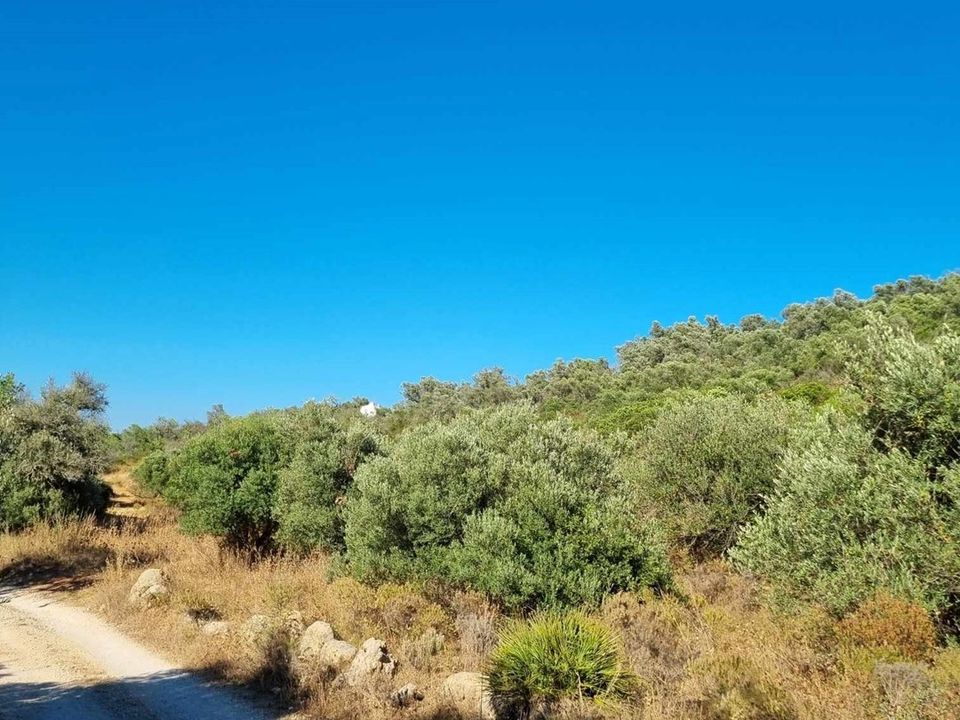 Helårsgrund i Silves, Faro - foto 3