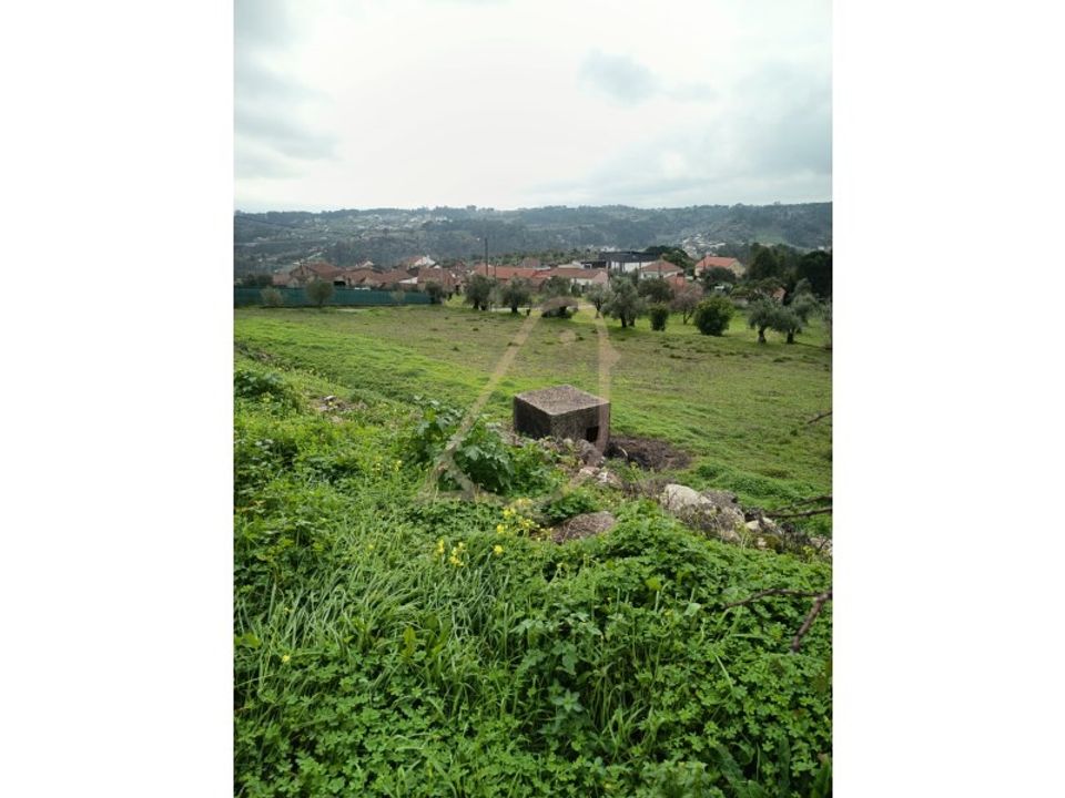 Helårsgrund i Gondemaria e Olival, Santarem - foto 3
