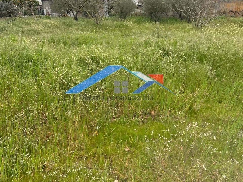 Helårsgrund i Coruche, Santarem - foto 5