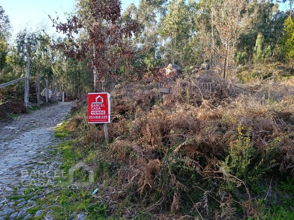 Helårsgrund i Vila Verde, Braga - foto 3