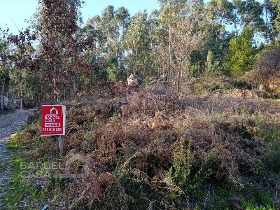 Helårsgrund i Vila Verde, Braga - foto 4