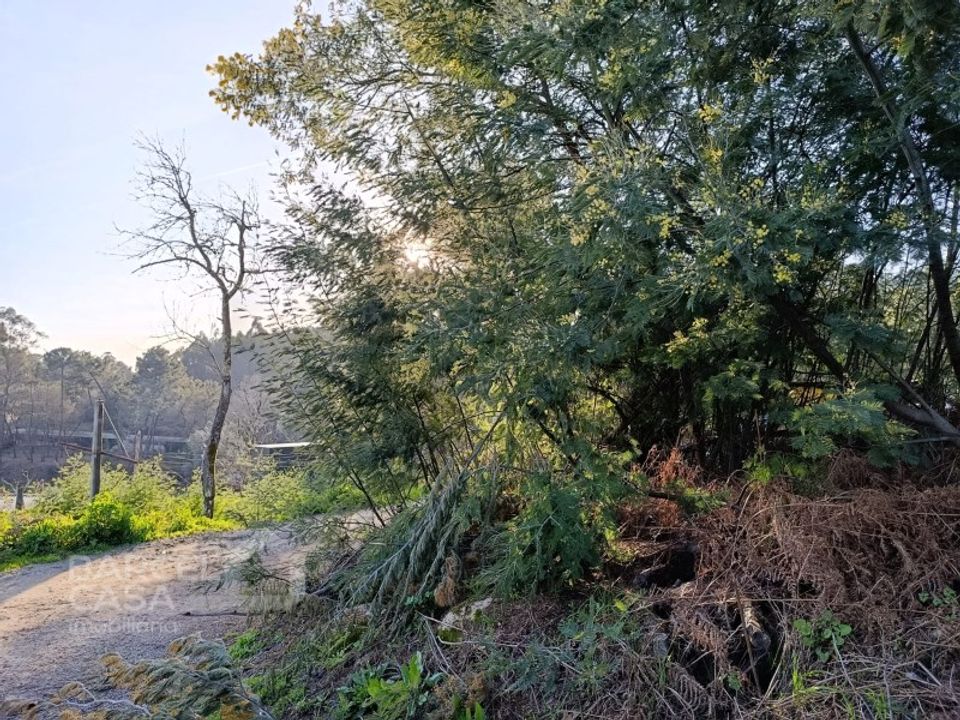 Helårsgrund i Vila Verde, Braga - foto 3