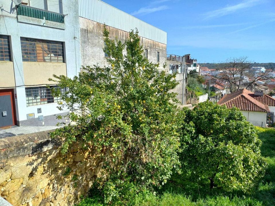 Helårsgrund i Torres Novas, Santarem - foto 3