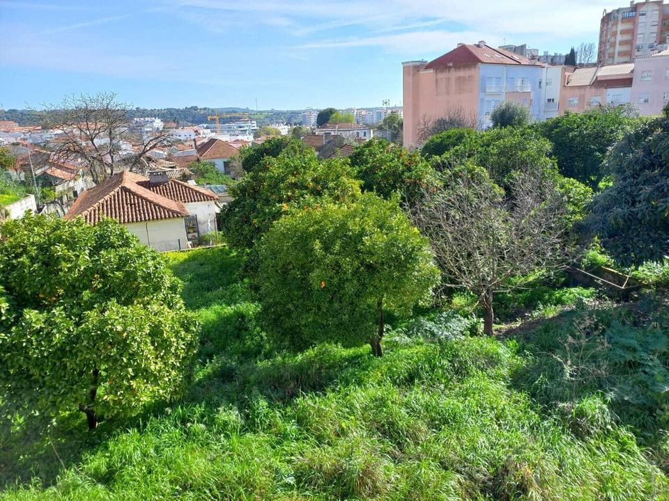 Helårsgrund i Torres Novas, Santarem - foto 4
