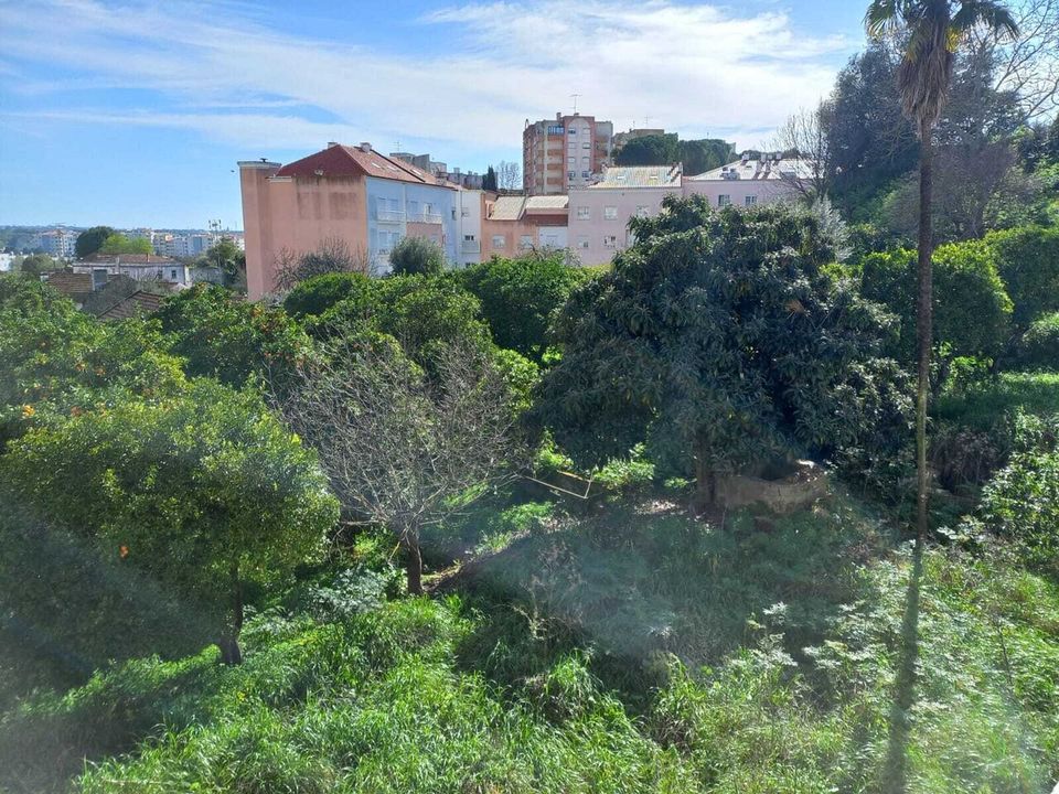 Helårsgrund i Torres Novas, Santarem - foto 5