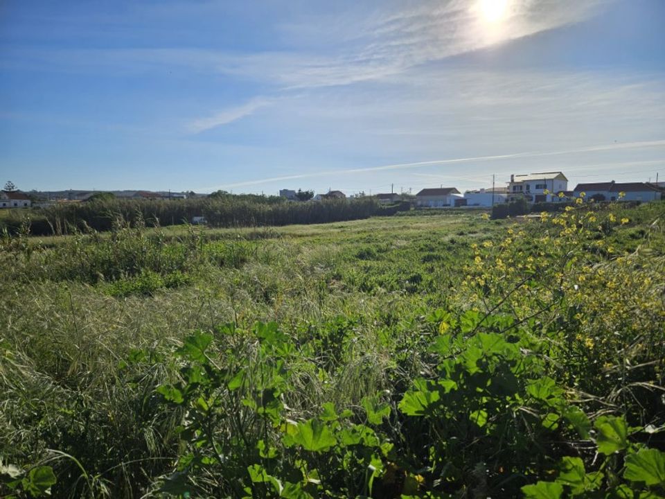 Helårsgrund i Santo Onofre e Serra do Bouro, Leiria - foto 3