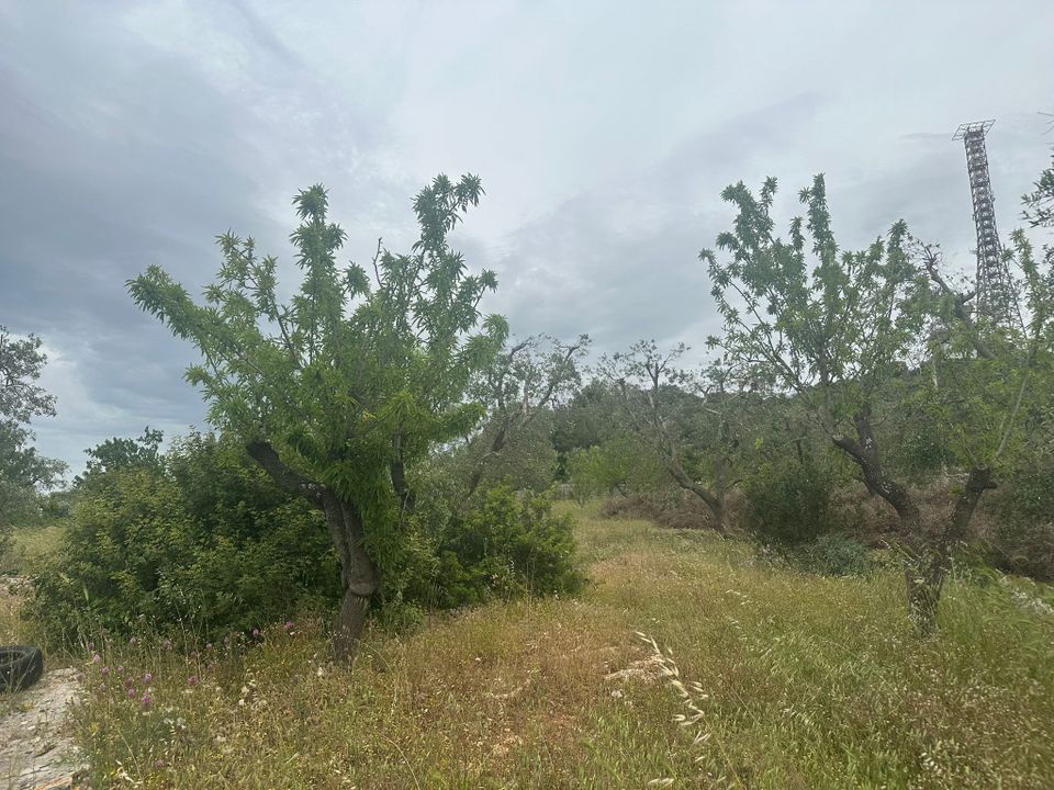 Villa i Ostuni, Brindisi - foto 3