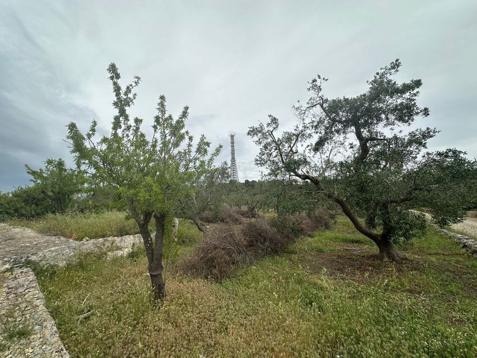 Villa i Ostuni, Brindisi - foto 4