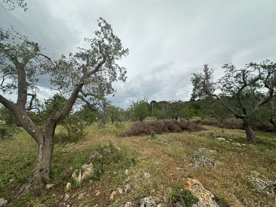 Villa i Ostuni, Brindisi - foto 5