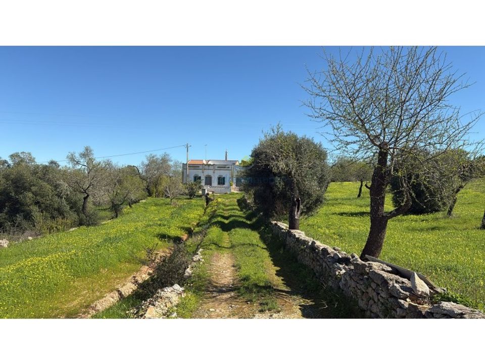 Terra a Boliqueime, Faro - foto 4