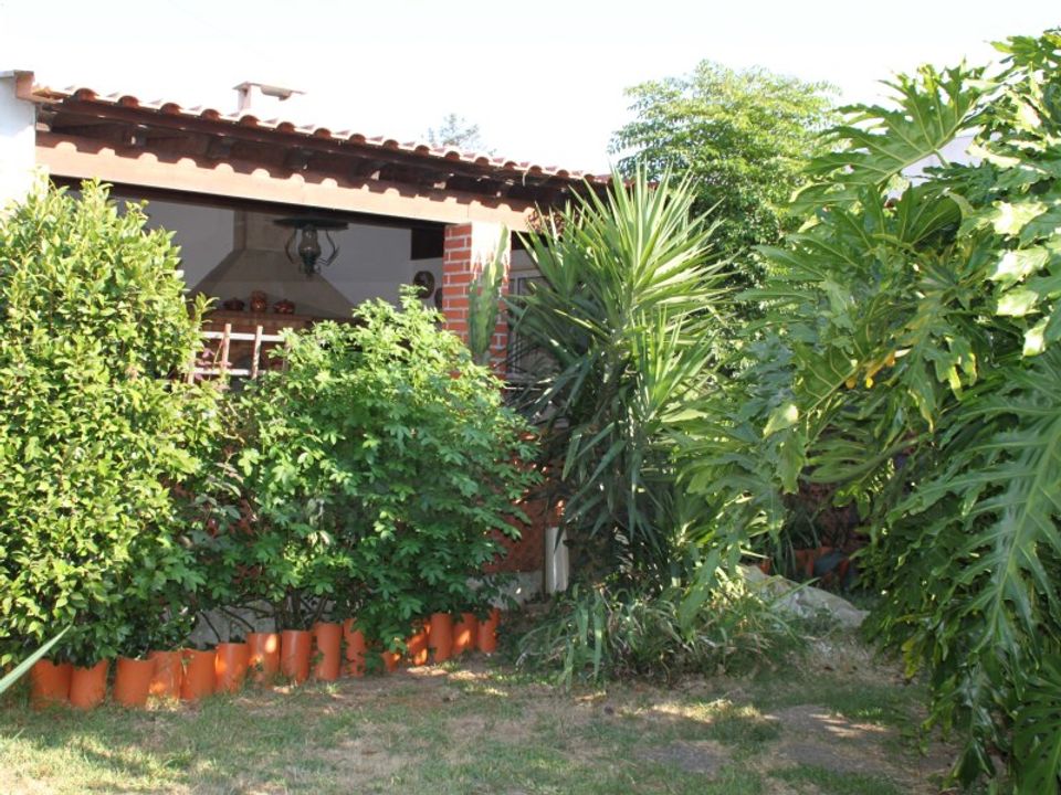 Villa i Estarreja, Aveiro - foto 4