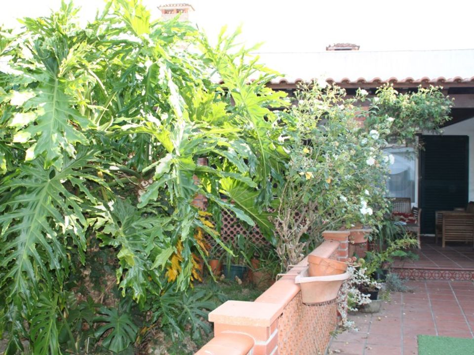 Villa i Estarreja, Aveiro - foto 5