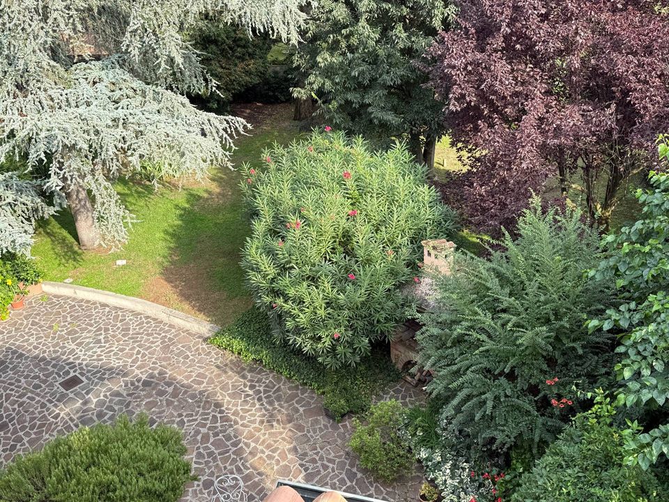 Villa i Mantua, Mantua - foto 2