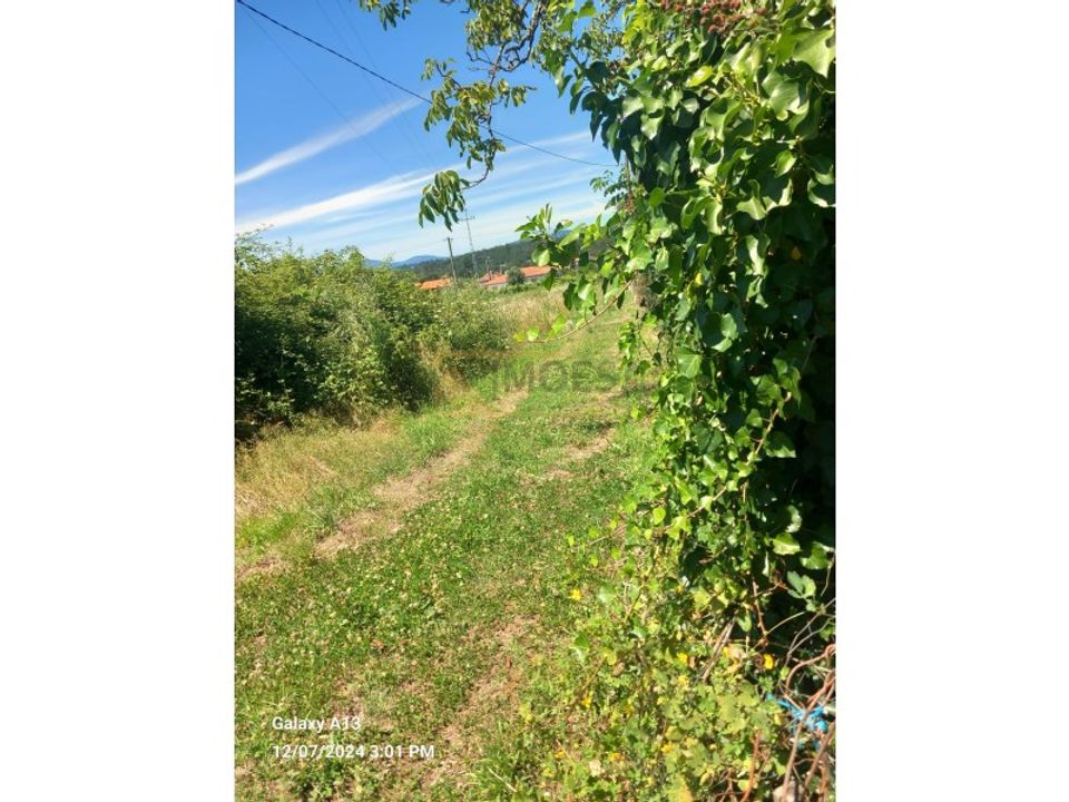 Helårsgrund i Bela, Viana do Castelo - foto 3