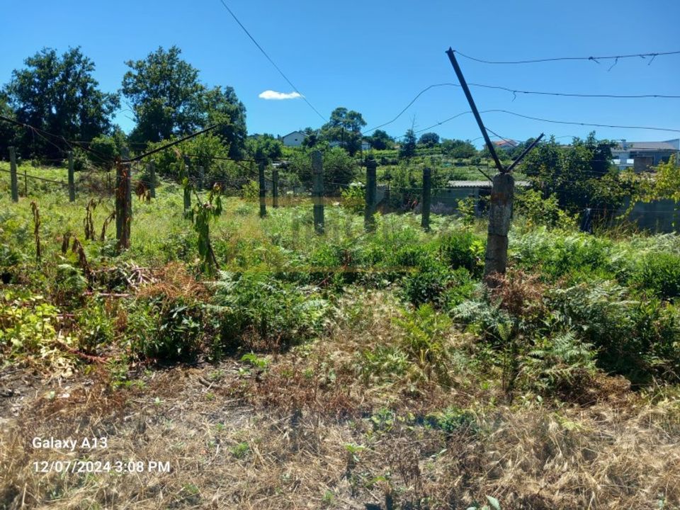 Helårsgrund i Bela, Viana do Castelo - foto 4