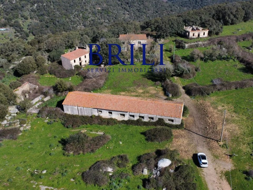 Helårsgrund i Tempio Pausania, Olbia Tempio - foto 5