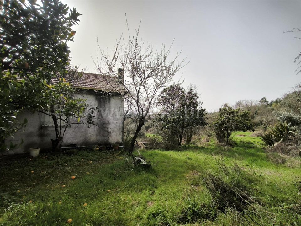 Herregård i Mangualde, Viseu - bilde 2