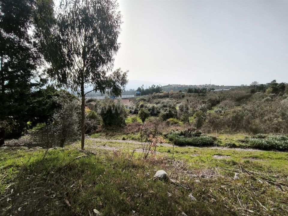 Herregård i Mangualde, Viseu - bilde 3