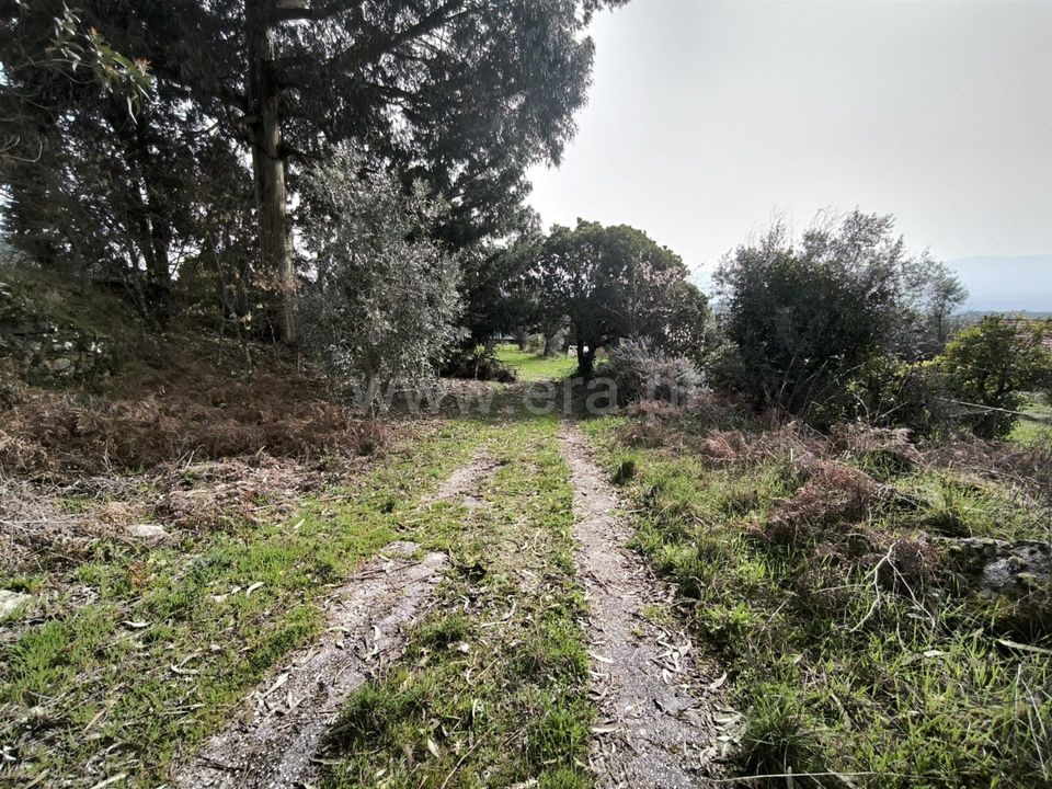 Herregård i Mangualde, Viseu - bilde 5