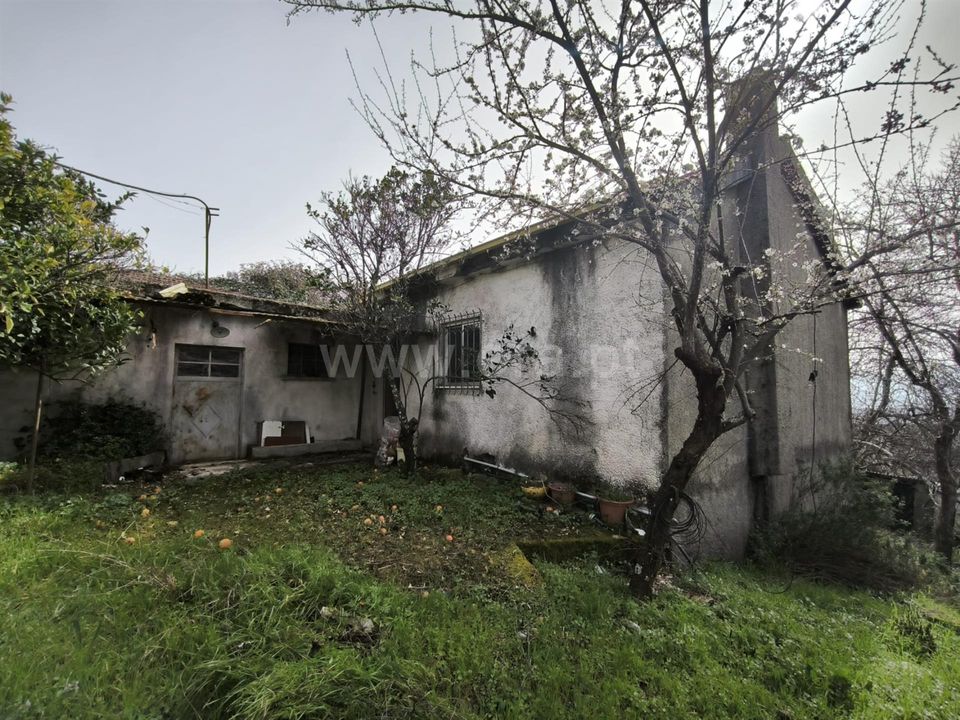 Herregård i Mangualde, Viseu - bilde 1