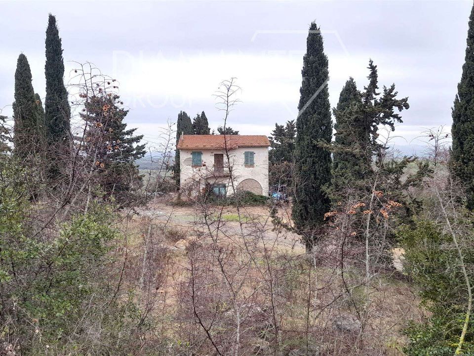 Farm i Scansano, Grosseto - foto 2