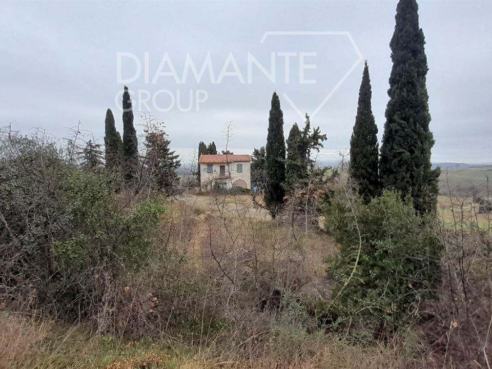 Farm i Scansano, Grosseto - foto 3