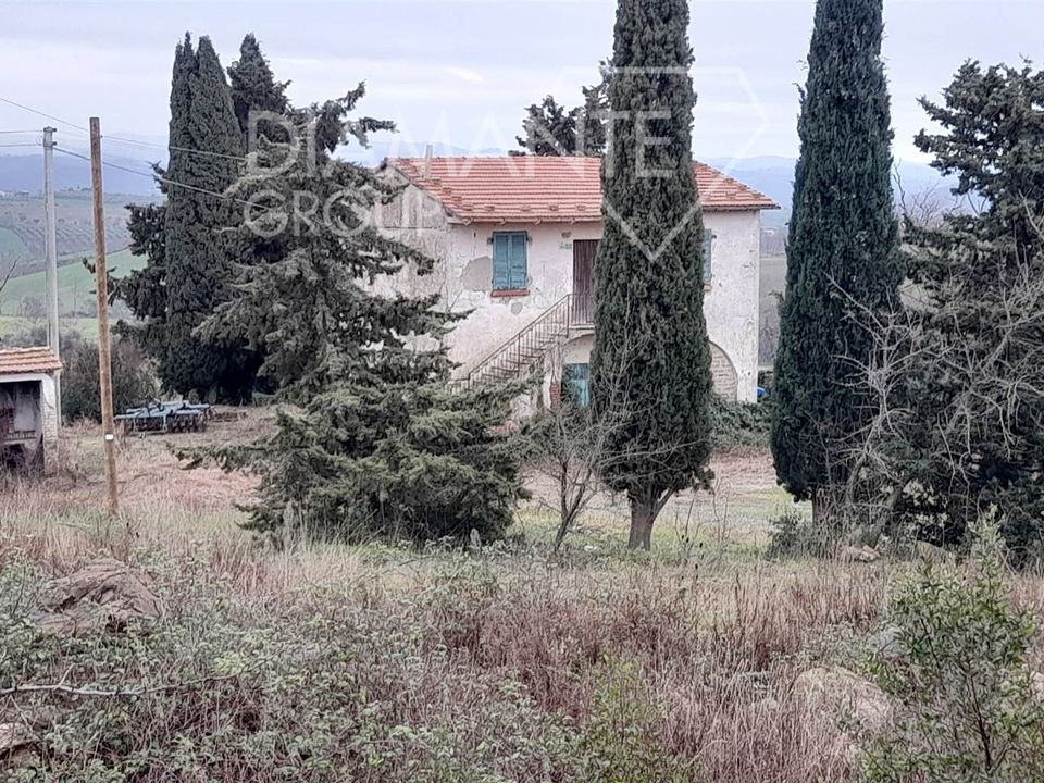 Farm i Scansano, Grosseto - foto 1