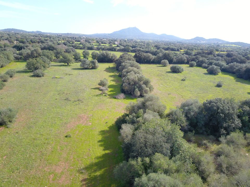 Helårsgrund i Felanitx, Mallorca - foto 1