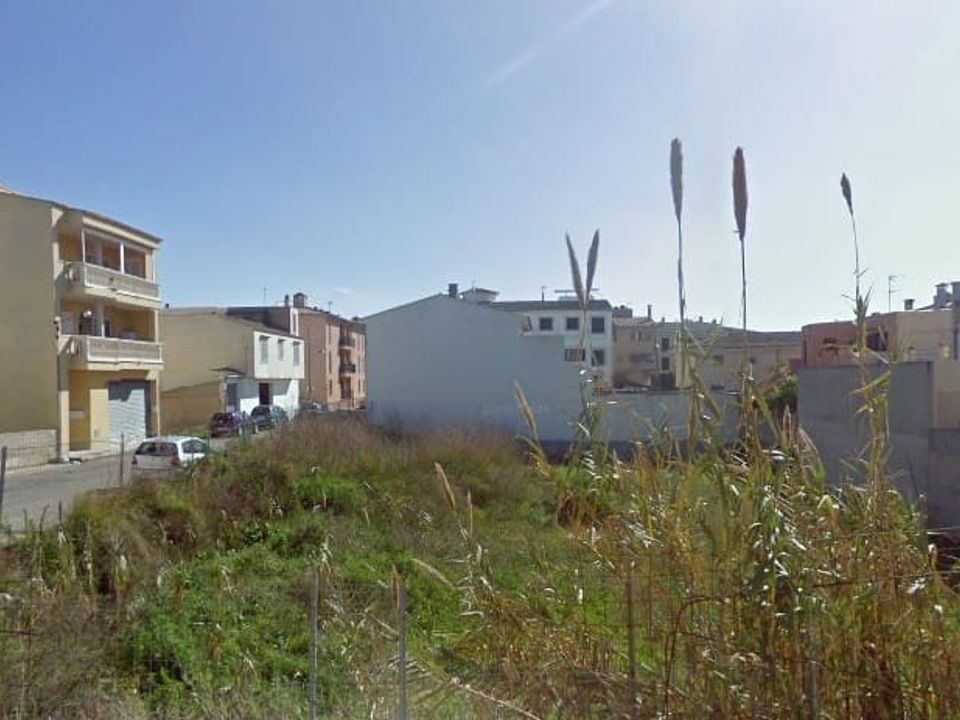 Helårsgrund i Binissalem, Mallorca - foto 4