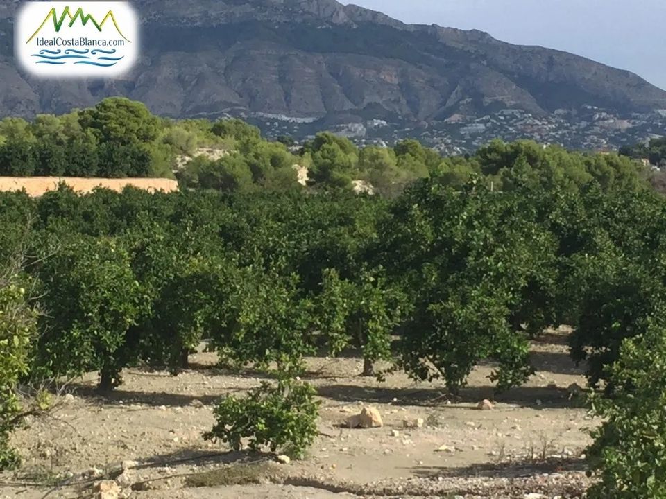 Finca a Altea, Alicante - foto 3
