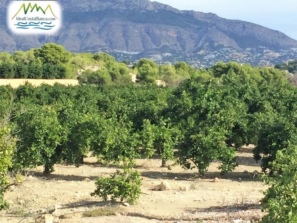 Finca a Altea, Alicante - foto 5