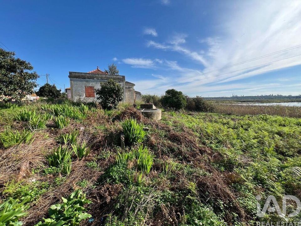 Tomt i Setubal, Setubal - bilde 1