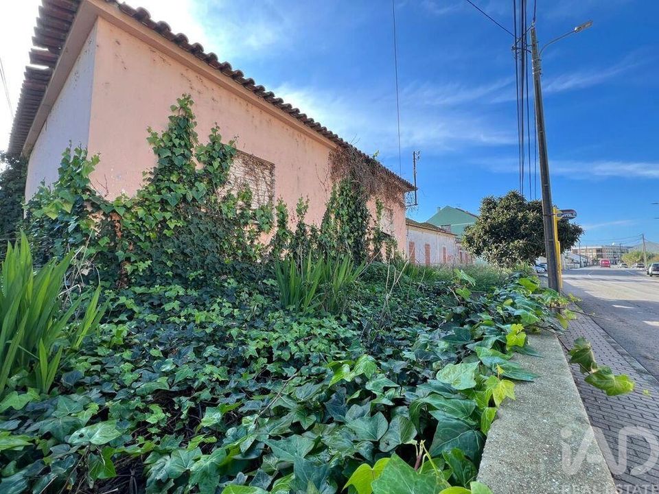 Tomt i Setubal, Setubal - bilde 4