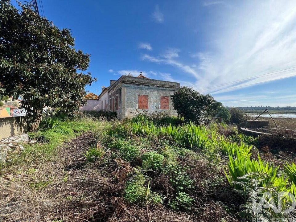 Tomt i Setubal, Setubal - bilde 5