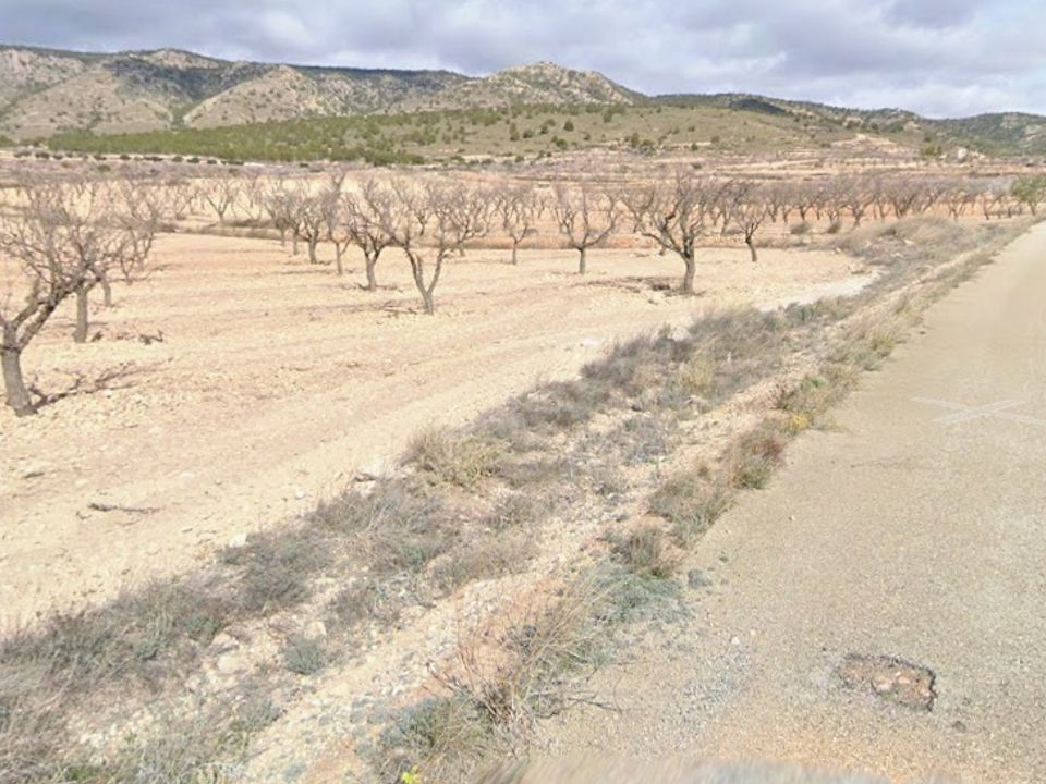 Helårsgrund i Jumilla, Murcia - foto 5