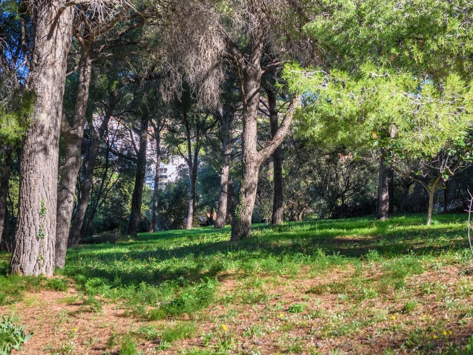 Villa i Cassis, Bouches-du-Rhone - foto 2