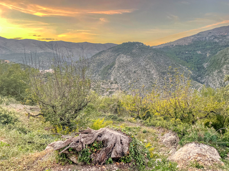 Helårsgrund i Alicante, Alicante - foto 1