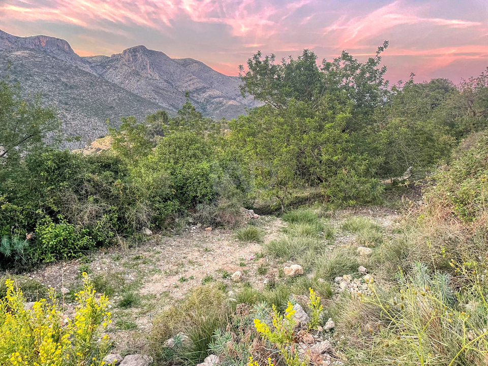 Helårsgrund i Alicante, Alicante - foto 4