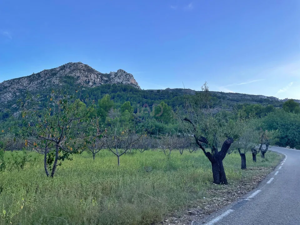 Helårsgrund i Alicante, Alicante - foto 4
