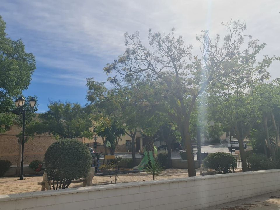 Villa i Pinoso, Alicante - foto 3