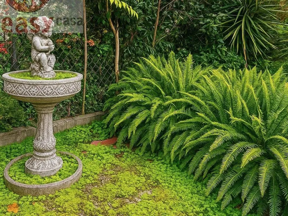 Villa i Pisa, Pisa - bilde 4