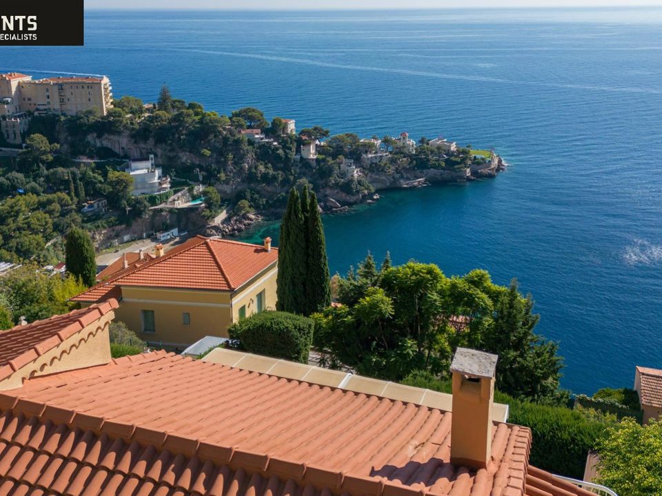 Villa i Cap-d'Ail, Alpes-Maritimes - foto 3