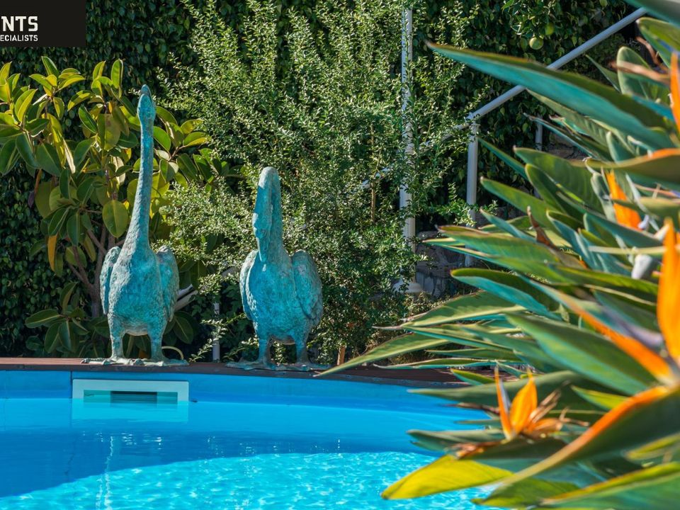 Villa i Cap-d'Ail, Alpes-Maritimes - foto 5